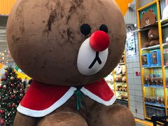 -line friends(明洞旗舰店)