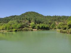 -广州白江湖森林公园