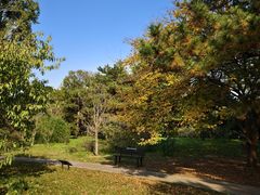 -国家植物园南园