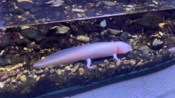 -Zoolung Zoolung动物主题公园(海信广场店)