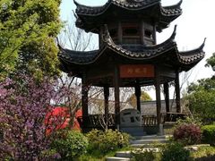 -梁鸿国家湿地公园