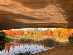 -四里河滨水生态公园