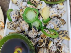 白灼花螺-贞姨美食·老字号海鲜大排档