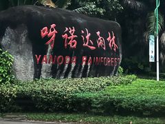 -呀诺达热带雨林