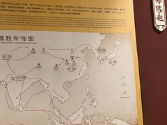 -乐山市博物馆