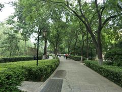 -莲湖公园