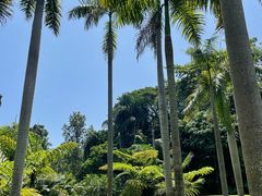 -中国科学院西双版纳热带植物园
