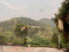 -勐巴拉云顶餐厅