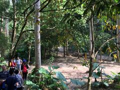 景点-火炉山森林公园