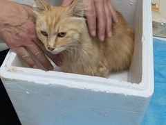 -达爱动物医院·犬猫分区·CT·复杂眼科(远洋山水分院)