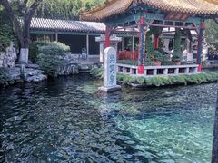 -老济南药膳把子肉(周公祠街店)