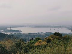 -香雪海