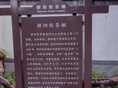 -阳台山自然风景区