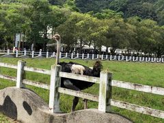 -瑞穗牧场花莲门市