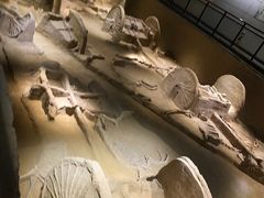 -洛阳周王城天子驾六博物馆