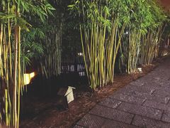 -三特浪口温泉精品酒店