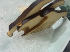 -鼎鼎香·港式火锅(北京SKP店)