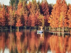 -白鹭湾湿地公园