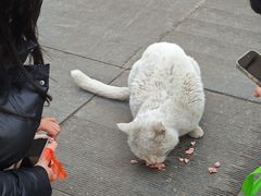 -万达广场(太原街店)