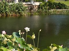 -中山公园