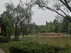 -邓小平故里