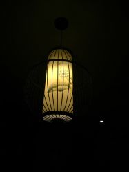 -YZ誉株·塑颜美容中心