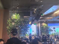 -同仁四季椰子鸡(宝安壹方城店)