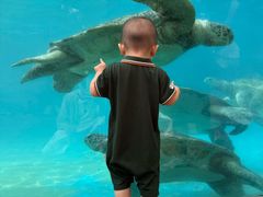 -海合安成都极地海洋公园