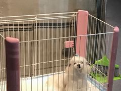 -听TA说宠咖·宠物生活馆(天韵水岸店)
