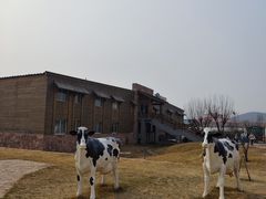 -君乐宝优致牧场