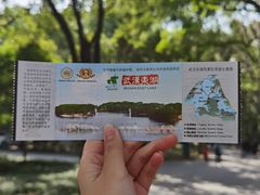 -东湖落雁景区
