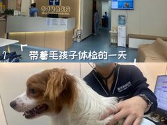 -泰洋动物医院·神经专科·磁共振·CT(天河公园总院)