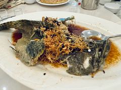 石斑鱼-新峰肉骨茶