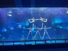 -泉城欧乐堡海洋极地世界