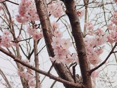-堤角公园