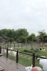 -太湖雪蚕桑文化园