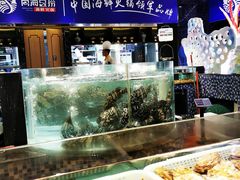 水产区-尚海豆捞(乐虹坊店)