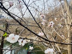 -京东石林峡风景区