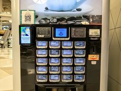-盖达尔·阿利耶夫国际机场