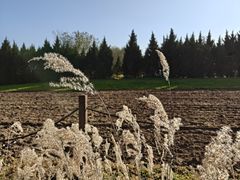 -汉长安城未央宫国家考古遗址公园