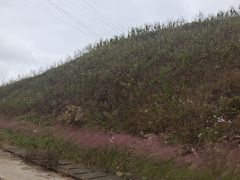 -刘家湾赶海园