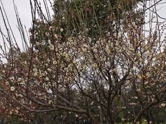 -蜀冈西峰生态公园