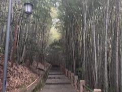 -敬亭山风景名胜区