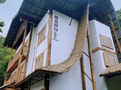 -南山植物园