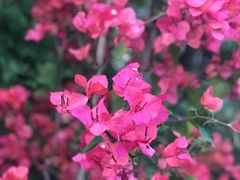 -春暖花开(西溪店)