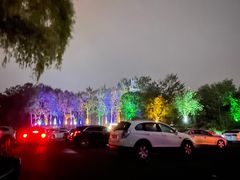 -枫花园汽车电影院(朝阳公园店)