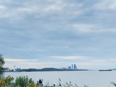 -上海滨江森林公园
