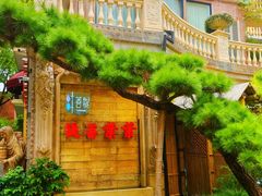 -叶叶菩提(太原别墅店)