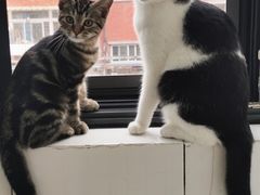 -乖乖宠物医院·猫科·骨科·24小时(云岗分院)