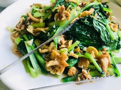 小白菜炒黄蘑-小城家宴